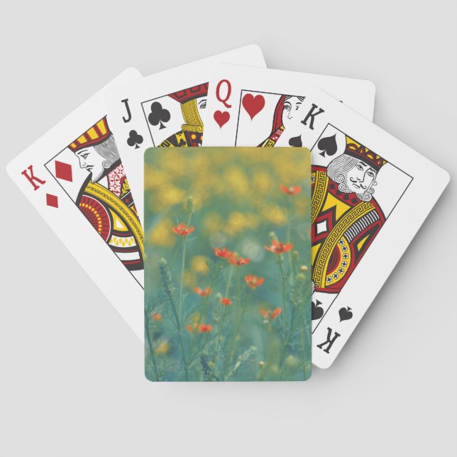 Baraja De Cartas Flores de verano (Campo floral) (Flores rojas) (Reverso)