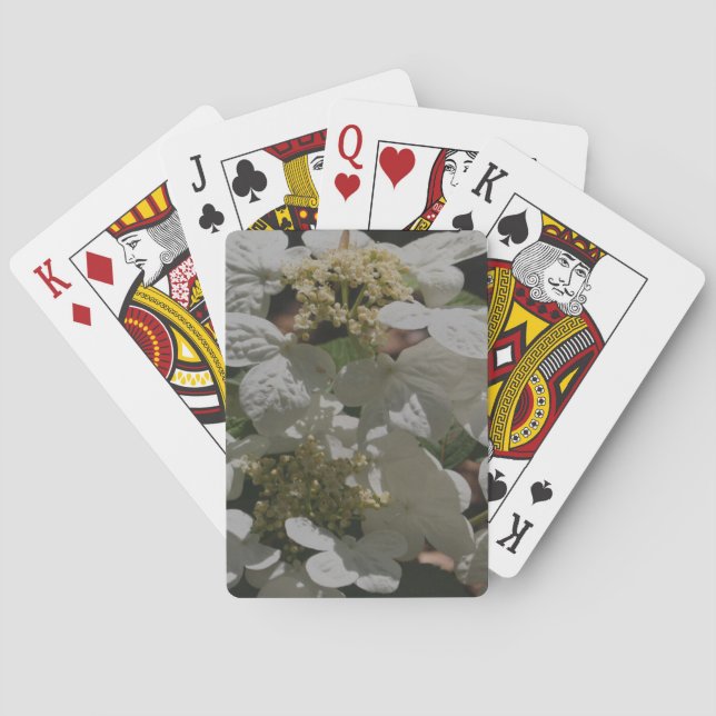 Baraja De Cartas Flores Hydrangea de capucha blanca (Reverso)