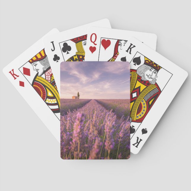 Baraja De Cartas Flores | Lavender Southern France (Reverso)