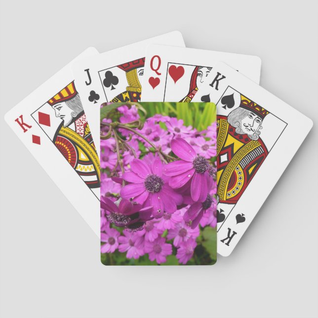 Baraja De Cartas Flores moradas de San Francisco (Reverso)
