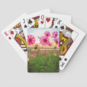 Baraja De Cartas Flores  Provincia de Chiang Rai, Tailandia