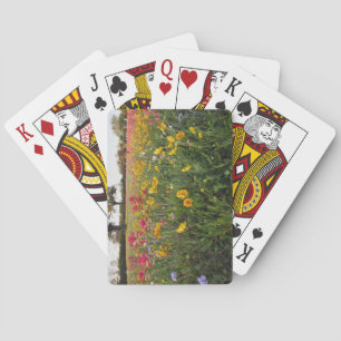 Baraja De Cartas Flores silvestres al borde de la carretera en Texa