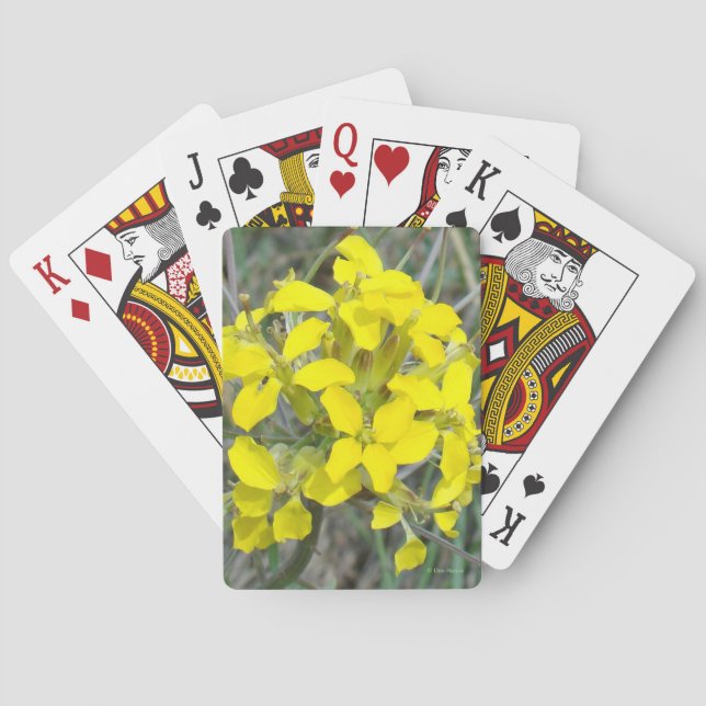 Baraja De Cartas Flores silvestres amarillas F14 (Reverso)