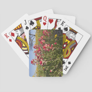Baraja De Cartas Flores silvestres en la carretera en Texas, primav