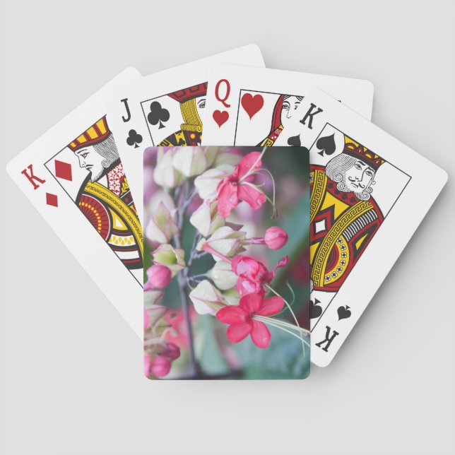 Baraja De Cartas Flores tropicales rojas y blancas (Reverso)
