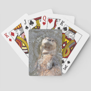 Baraja De Cartas Flotador de la parte posterior de la nutria