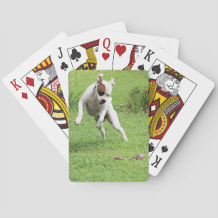 Baraja De Cartas Flotante