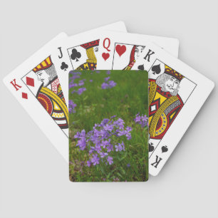 Baraja De Cartas Flox azul silvestre
