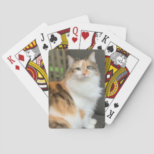 Baraja De Cartas Fluffy Calico Kitty Cat
