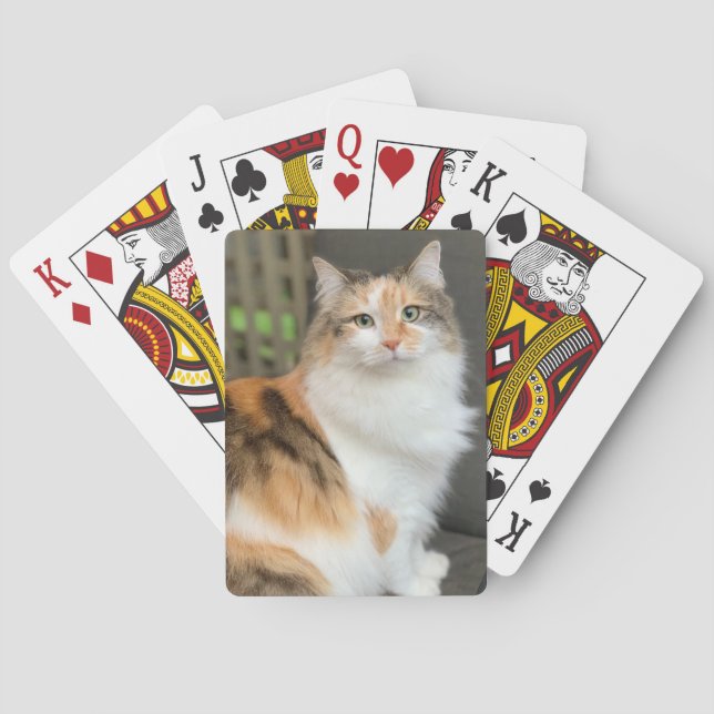 Baraja De Cartas Fluffy Calico Kitty Cat (Reverso)
