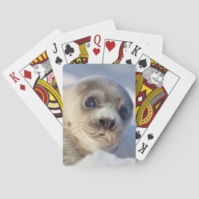 Baraja De Cartas Foca de Groenlandia joven (Reverso)