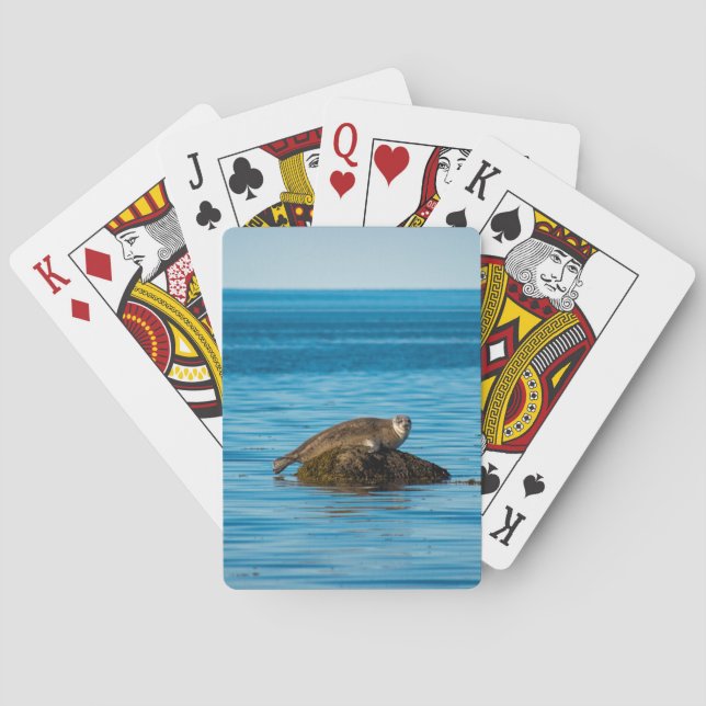 Baraja De Cartas Foca de puerto Atlántico (Reverso)