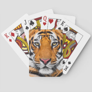 Baraja De Cartas Fondo de la cara del tigre