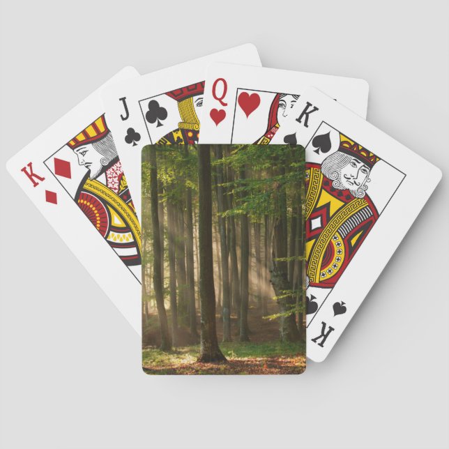 Baraja De Cartas Forests | Autumn Forest (Reverso)
