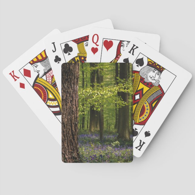 Baraja De Cartas Forests | Bluebells in Belgium (Reverso)