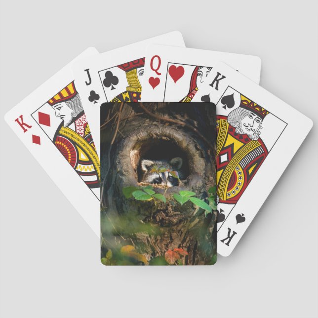 Baraja De Cartas Forests | Raccoon Peeking (Reverso)