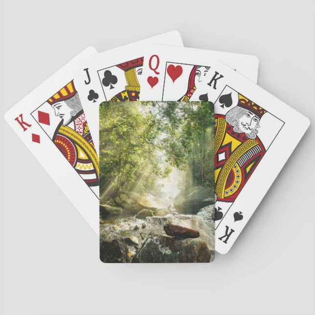 Baraja De Cartas Forests | Tropical Jungle Forest (Reverso)