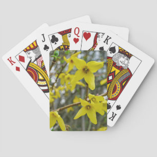 Baraja De Cartas Forsythia en primavera