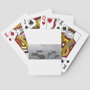 BARAJA DE CARTAS FORT RICHARDSON ALASKA
