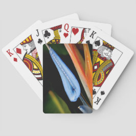 Baraja De Cartas Foto de Ave del Paraíso