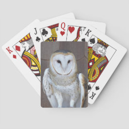 Baraja De Cartas Foto de Barn Owl Raptor