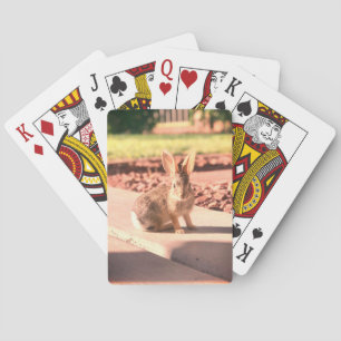 Baraja De Cartas foto de conejo de Pascua de primavera