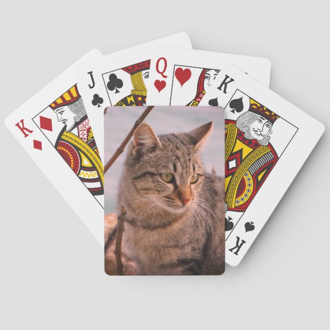 Baraja De Cartas Foto de gato (Reverso)