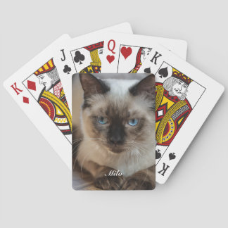 Baraja De Cartas Foto de gato Ragdoll personalizada con nombre