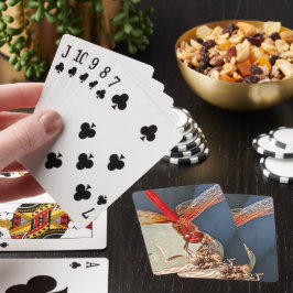 Baraja De Cartas Foto de la naturaleza de la libélula roja de Meado