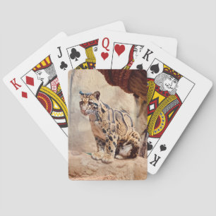 Baraja De Cartas foto de leopardo nebuloso naturaleza vida silvestr