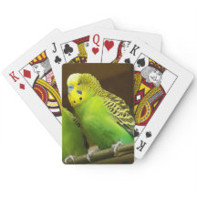 Foto de paracaídas verde y amarillo