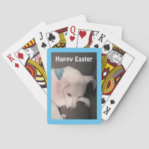 Baraja De Cartas Foto de Perro Cute Desangrando pacíficamente Pascu
