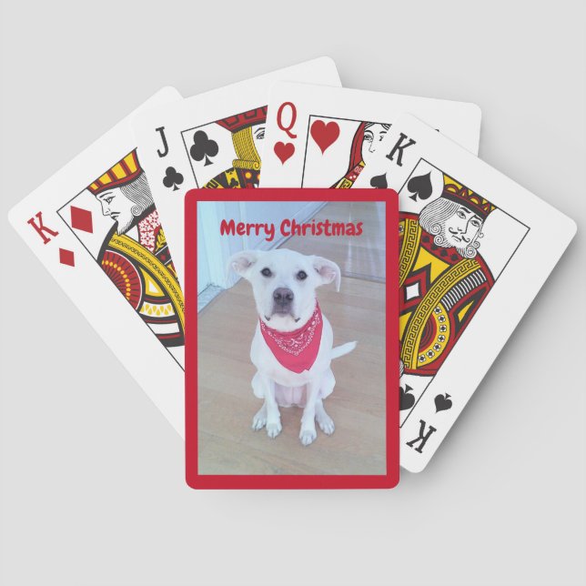 Baraja De Cartas Foto de perro lindo con curioso pegando en rojo la (Reverso)