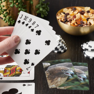 Baraja De Cartas Foto de rapaz halcón de cola roja