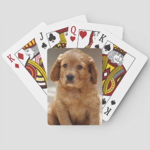 Baraja De Cartas Foto de retrato de cachorros