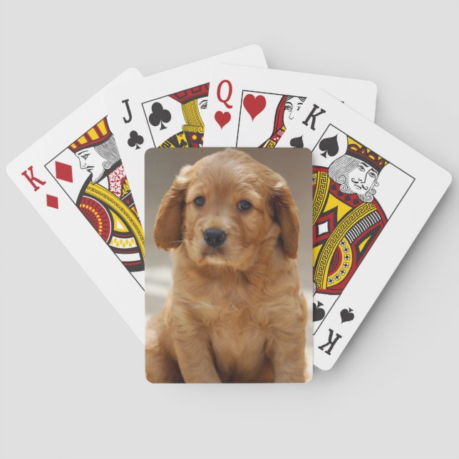 Baraja De Cartas Foto de retrato de cachorros (Reverso)