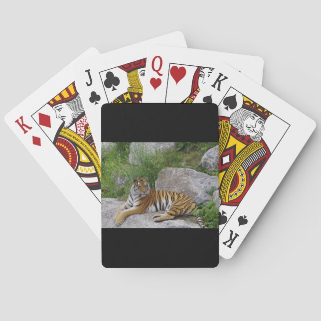 Baraja De Cartas Foto de retrato de un tigre siberiano (Reverso)