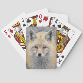 Baraja De Cartas Foto de vida salvaje Cute Red Fox