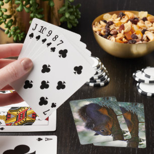 Baraja De Cartas Foto de vida silvestre de pequeños Douglas