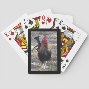 Baraja De Cartas Foto del gallo del juego