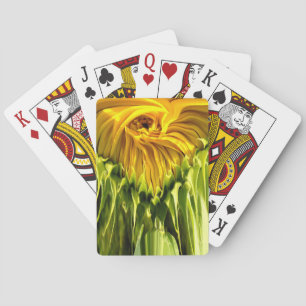 Baraja De Cartas Foto elegante de girasol amarillo