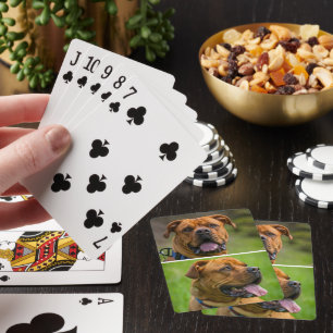 Baraja De Cartas Foto personalizada de dos Mascotas