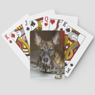 Baraja De Cartas Foto personalizada de gato perro mascota