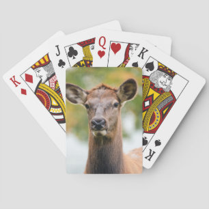 Baraja De Cartas Foto Personalizada Personalizada