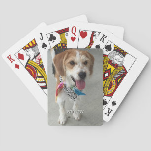 Baraja De Cartas Foto y nombre del mascota
