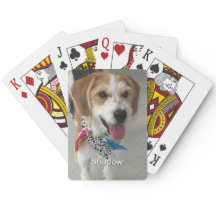 Foto y nombre del mascota