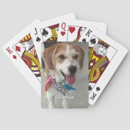 Baraja De Cartas Foto y nombre del mascota