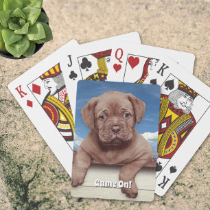 Baraja De Cartas Fotografía de adorable cachorro marrón