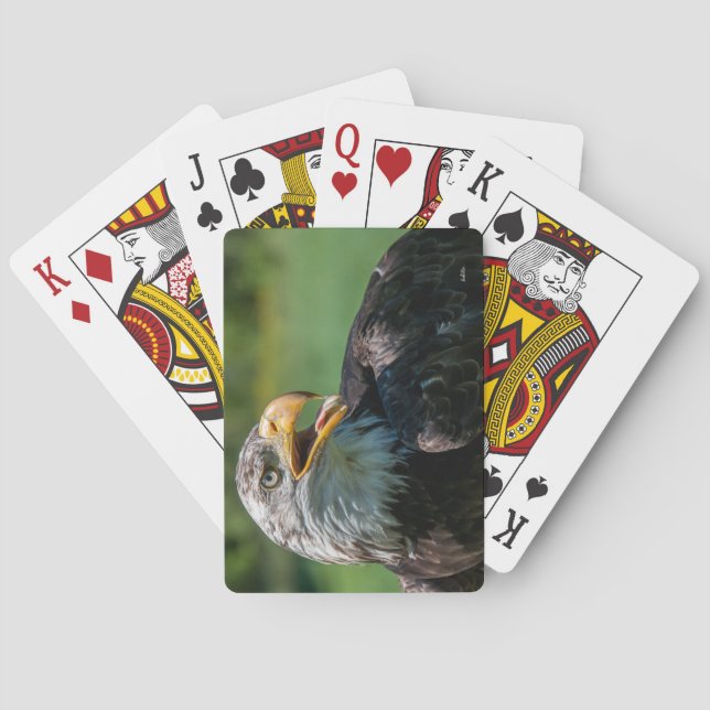 Baraja De Cartas fotografía de águila (Reverso)