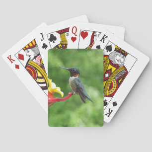 Baraja De Cartas Fotografía de aves de colibrí de garganta rubí